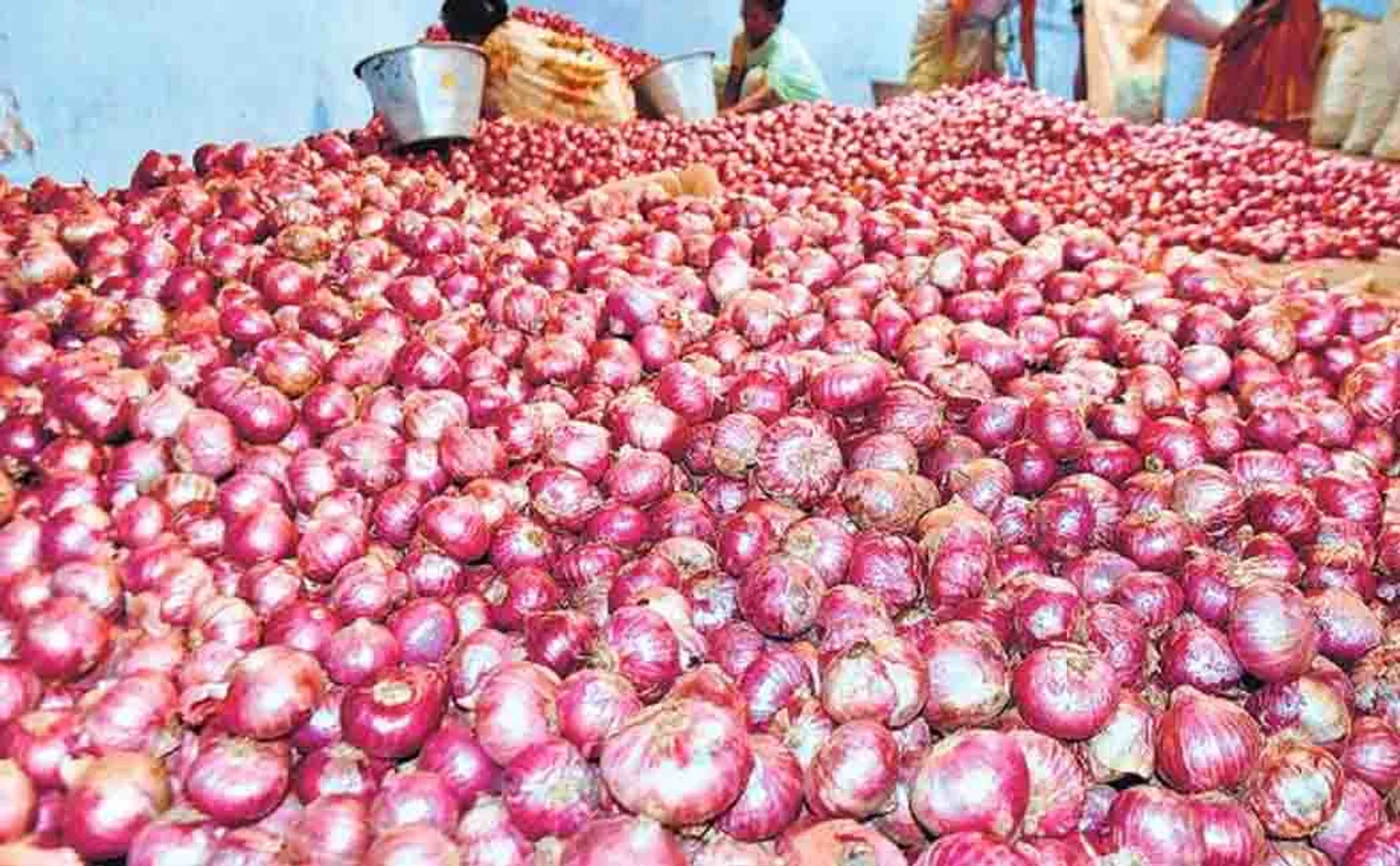 onion prices increased
